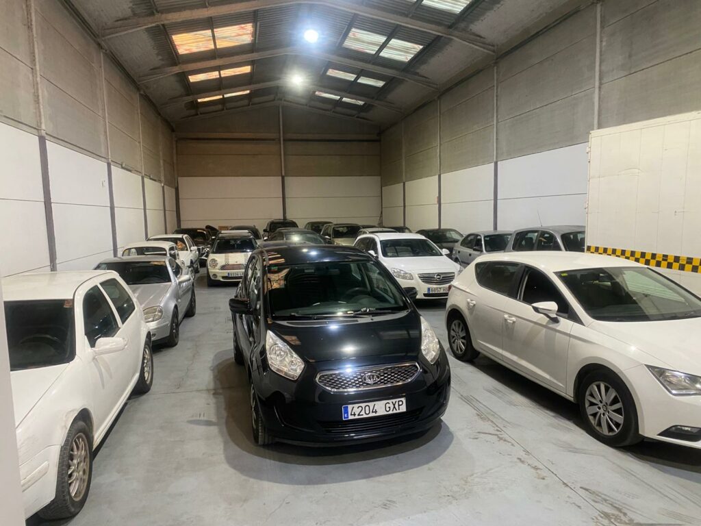 WhatsApp Image 2026-03-17 at 18.51.03 (1)